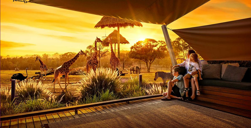 Taronga Western Plains Zoo, New South Wales: Petualangan Safari di Australia
