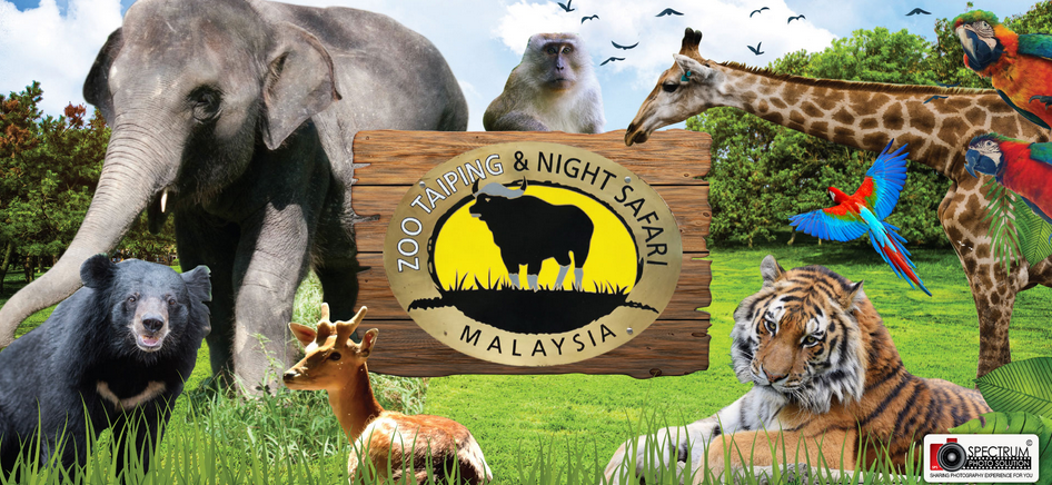 Mengungkap Keajaiban Zoo Taiping, Perak: Menyatu dengan Alam dan Satwa Liar